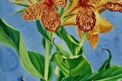 Exotica