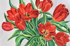 Red Tulips