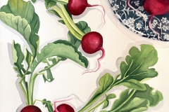 dancing-radishes-web