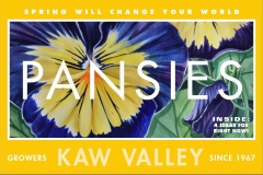 1_Pansy-KAW-VALLEY-MAILER-2017-
