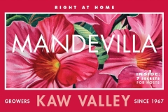 mandevilla kaw valley mailer web