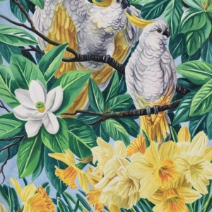 Cockatoos-and-dafodills