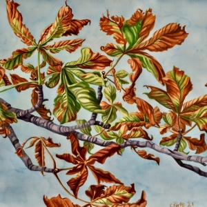 Autumn Leaves Autumn Leaves