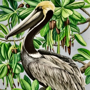 Pelican Grove Pelican Grove