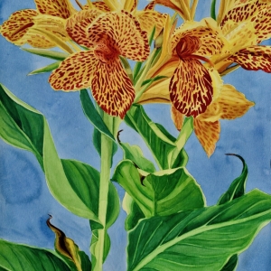 Exotica Exotica