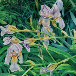 Fallen-Angels Fallen-Angels