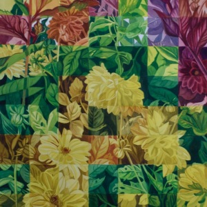 Golden-Dahlias-