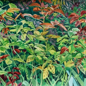 Indian-Summer- Indian-Summer-