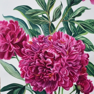 Peony Garden