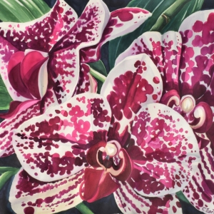 Spotted-orchids-small
