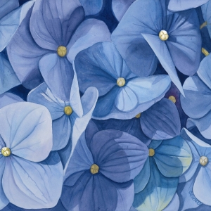 blue-flowers-small blue-flowers-small