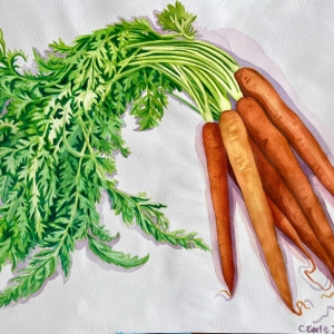 carrot-tops