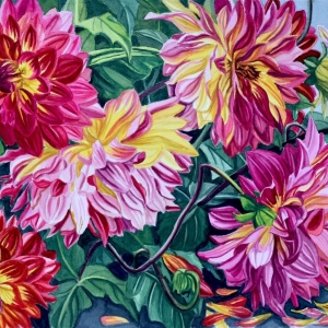 September Dahlias September Dahlias