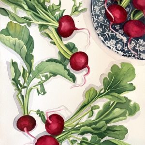 dancing-radishes-web