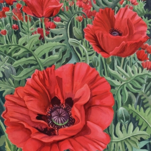Poppy Field Poppy Field