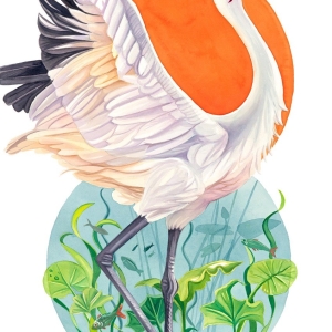 Bird of happiness Bird of happiness